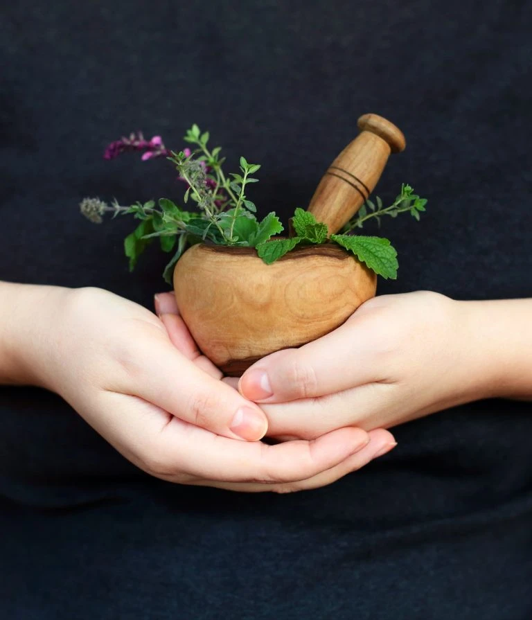 Best Herbs for Gut Health in Ayurveda