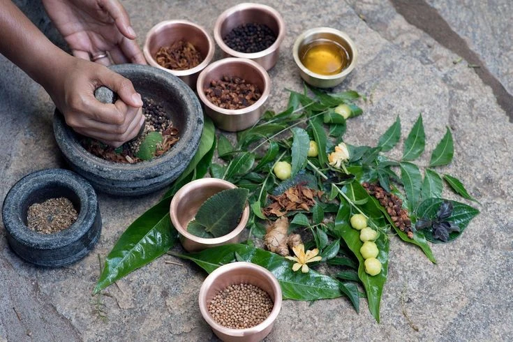 Ayurvedic Daily Routine for Better Health