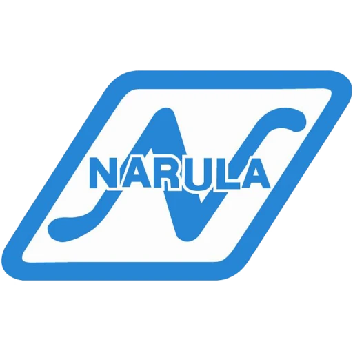 NARULA ENTERPRISES